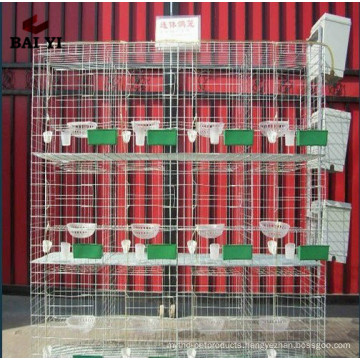 Free Sample Different Sizes Racing Pigeon Cage For Sale